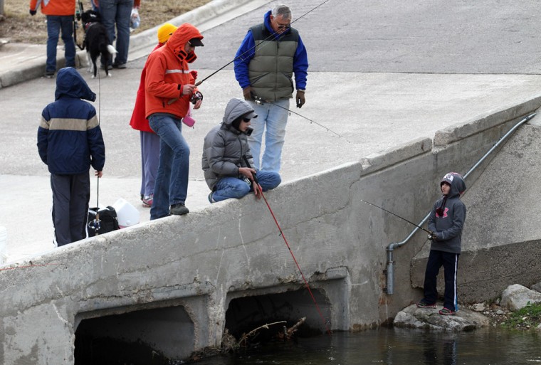 Family Fishing Day at Nolan Creek